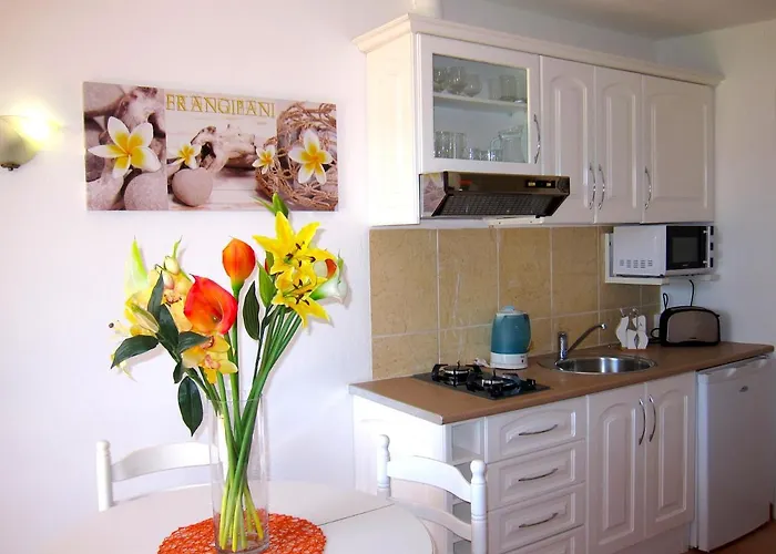 Casa Da Horta, Vale Carro Olhos De Agua 阿尔布费拉